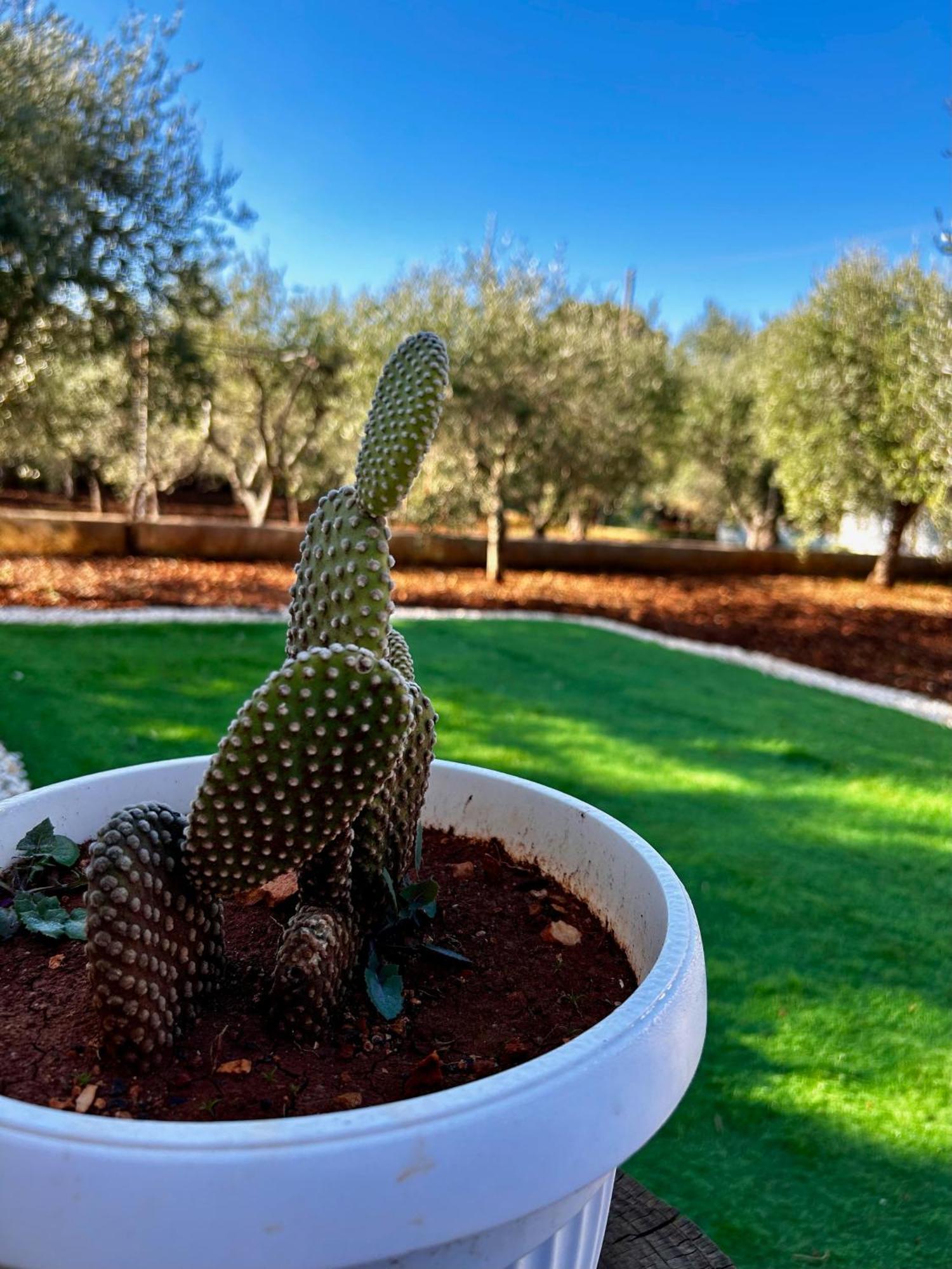 Villa Amorina Ostuni Luaran gambar
